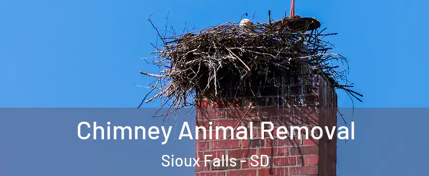  Chimney Animal Removal Sioux Falls - SD
