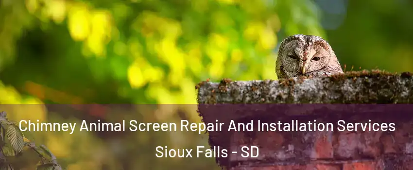  Chimney Animal Screen Repair And Installation Services Sioux Falls - SD