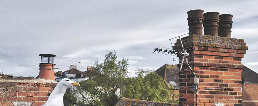 Chimney Cleaning And Restoration in Sioux Falls, South Dakota