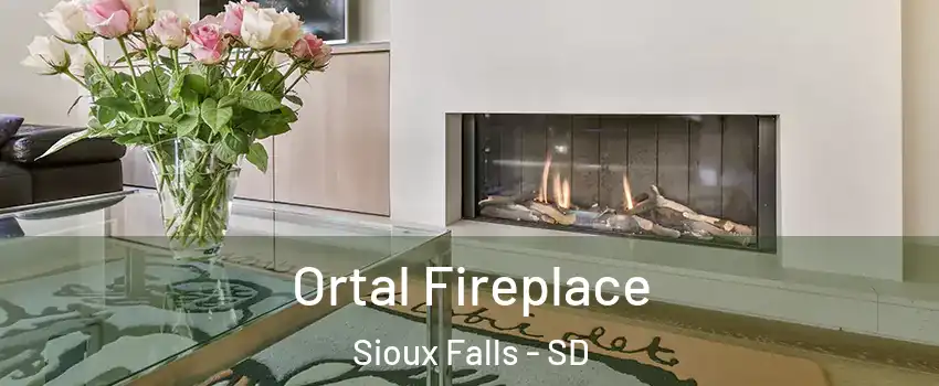  Ortal Fireplace Sioux Falls - SD